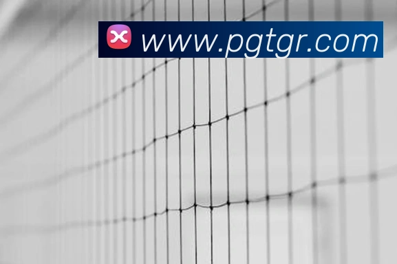 pg电子平台生态图